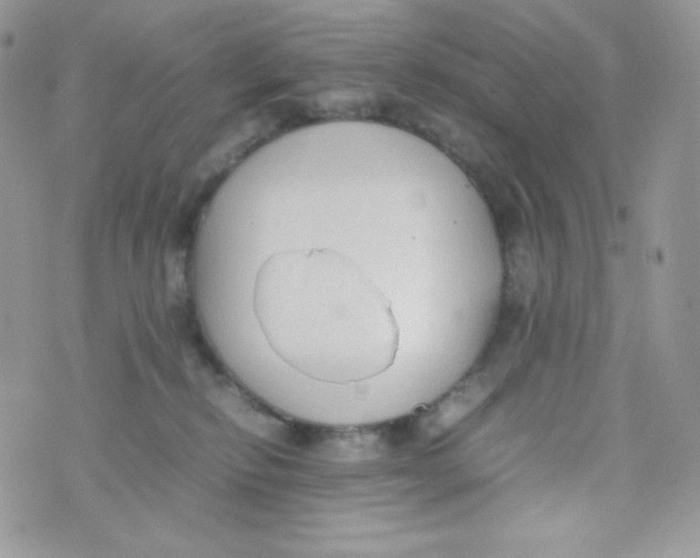 X0000074930278200609291805