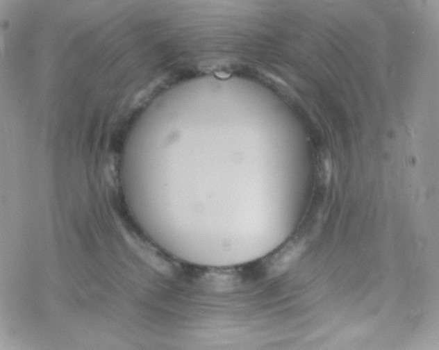 X0000074930280200609291805