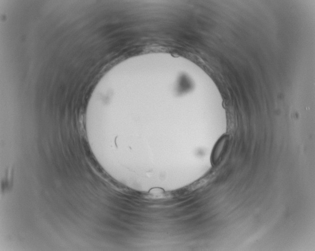 X0000074930281200609291805