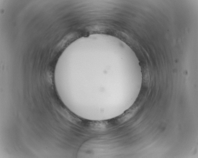 X0000074930282200609291805