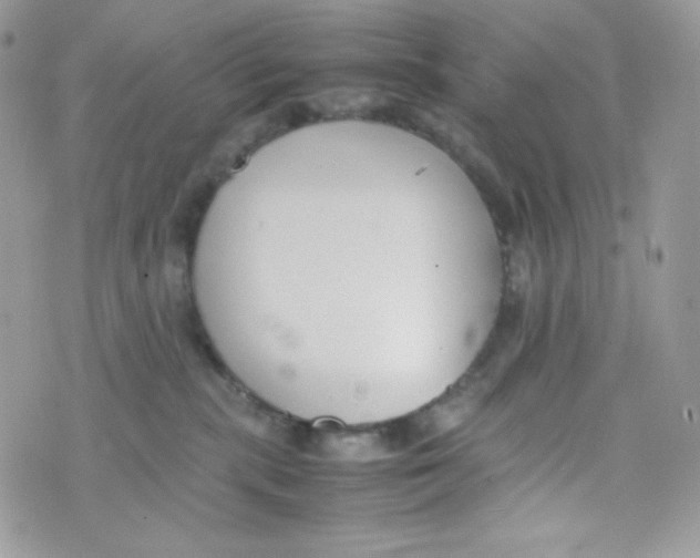 X0000074930283200609291805