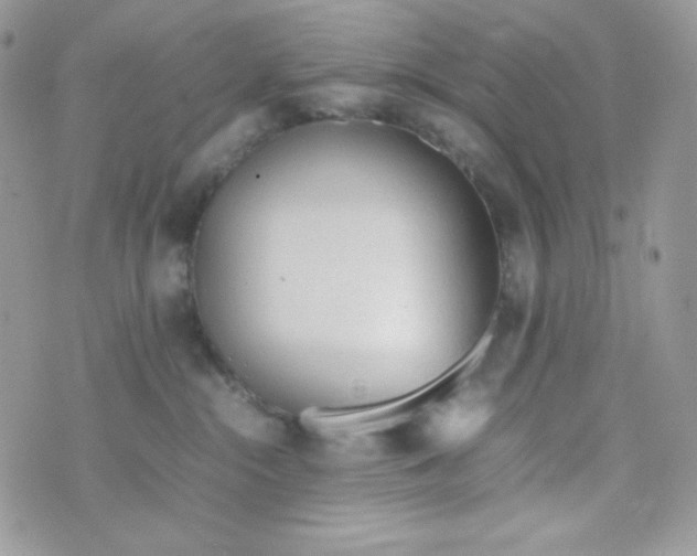 X0000074930284200609291805