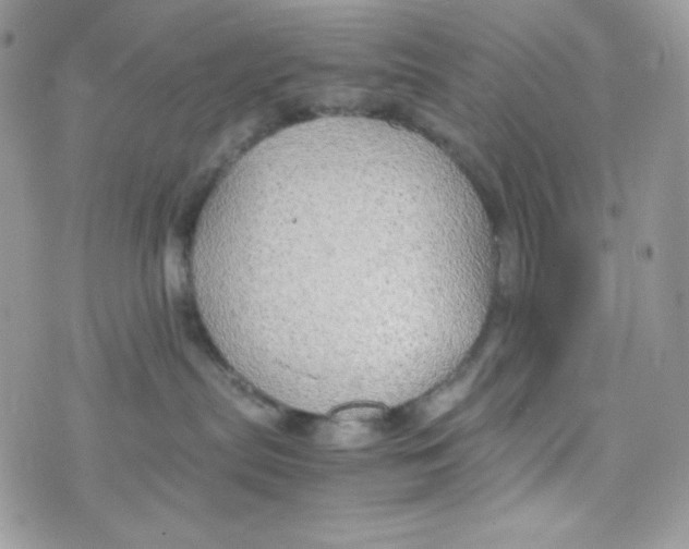 X0000074930287200609291805