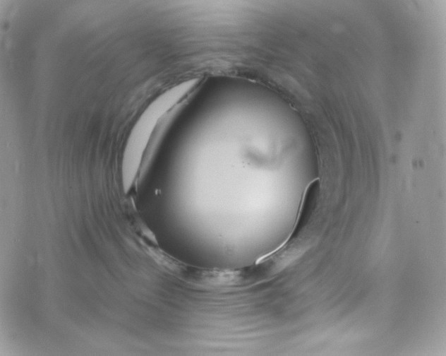 X0000074930288200609291805