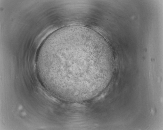 X0000074930290200609291804