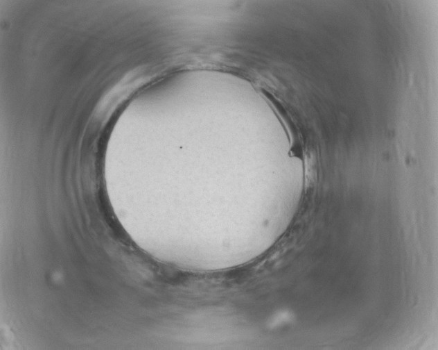 X0000074930291200609291804