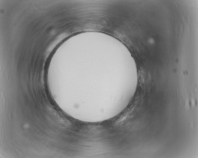 X0000074930292200609291804