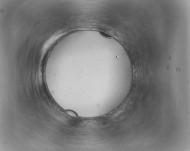 X0000074930294200609291804