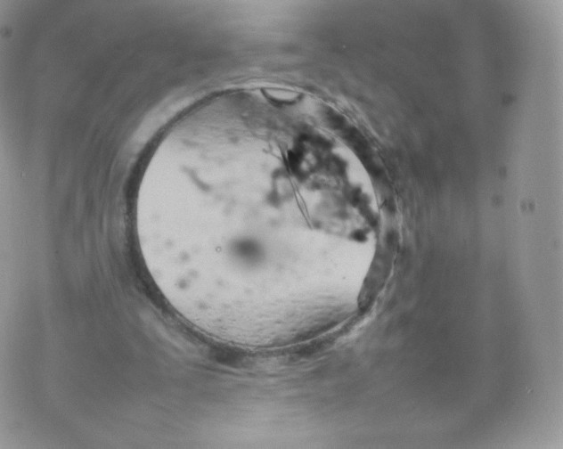 X0000074930295200609291804