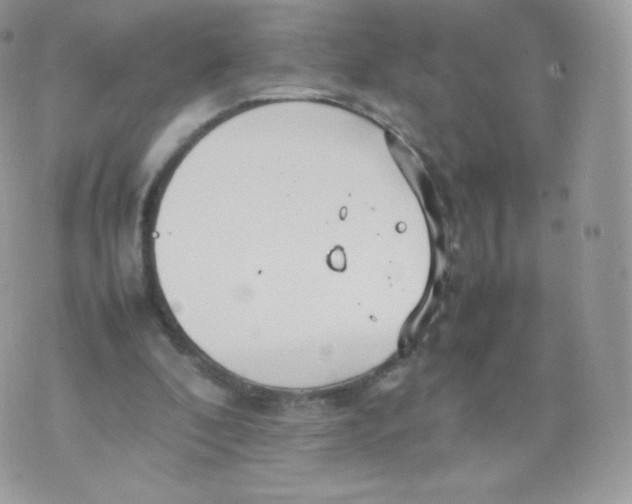 X0000074930296200609291804