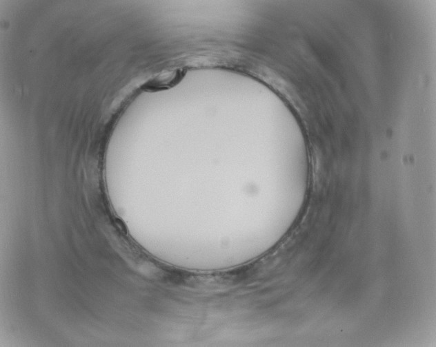 X0000074930297200609291804