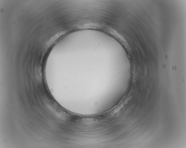 X0000074930298200609291804