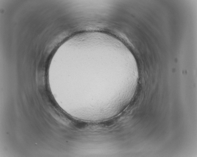 X0000074930299200609291804