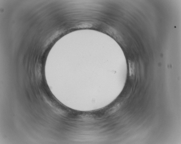 X0000074930300200609291804