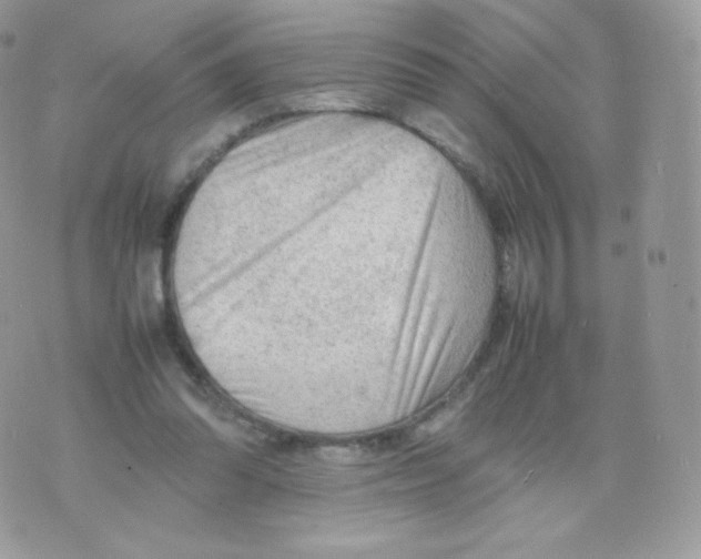 X0000074930302200609291804