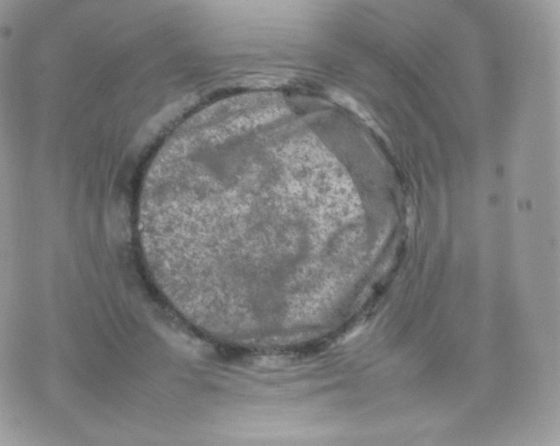 X0000074930303200609291804