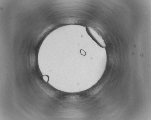 X0000074930304200609291804