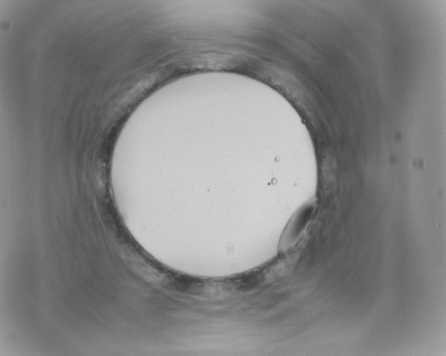 X0000074930305200609291804