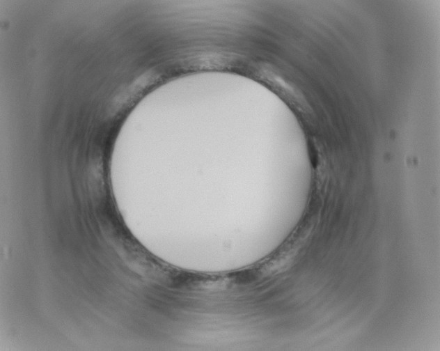 X0000074930306200609291804