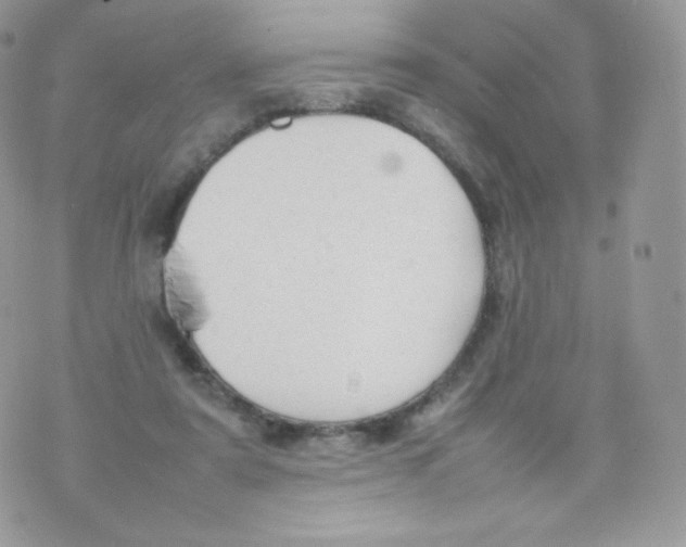 X0000074930307200609291804