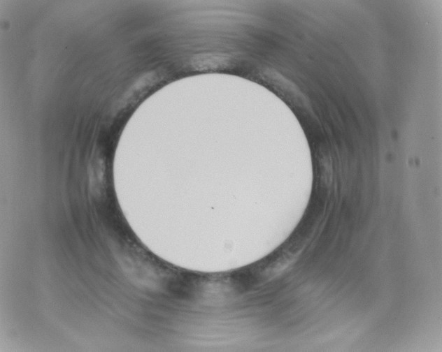 X0000074930308200609291804