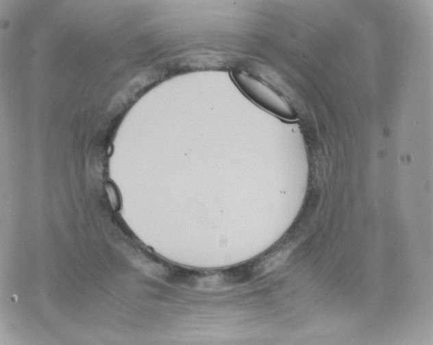 X0000074930309200609291804