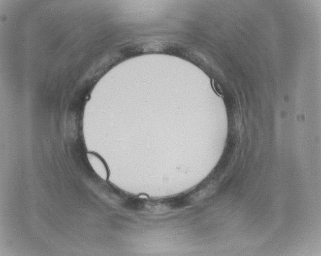 X0000074930311200609291804