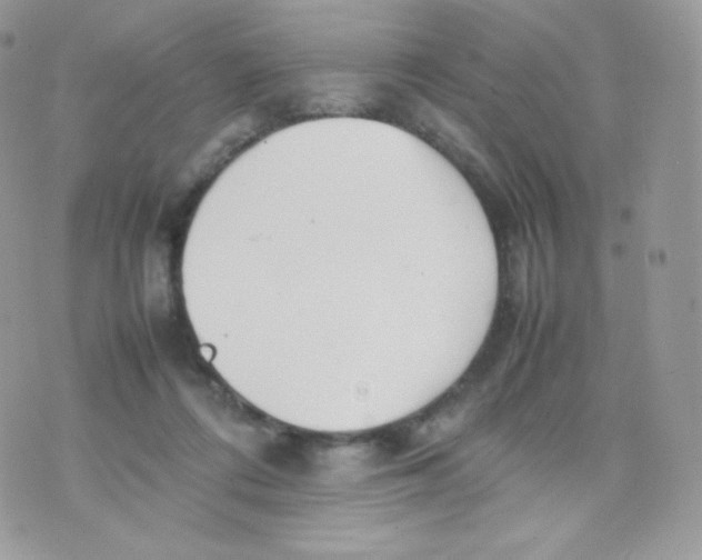 X0000074930312200609291804