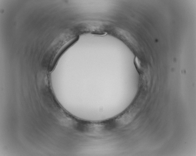 X0000074930313200609291804