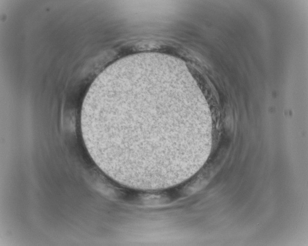 X0000074930315200609291804