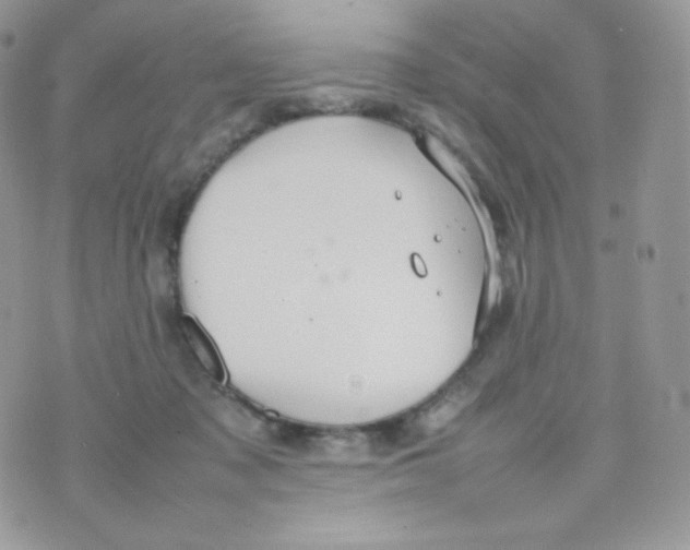 X0000074930317200609291804