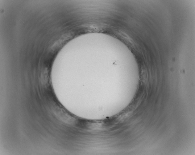 X0000074930318200609291804