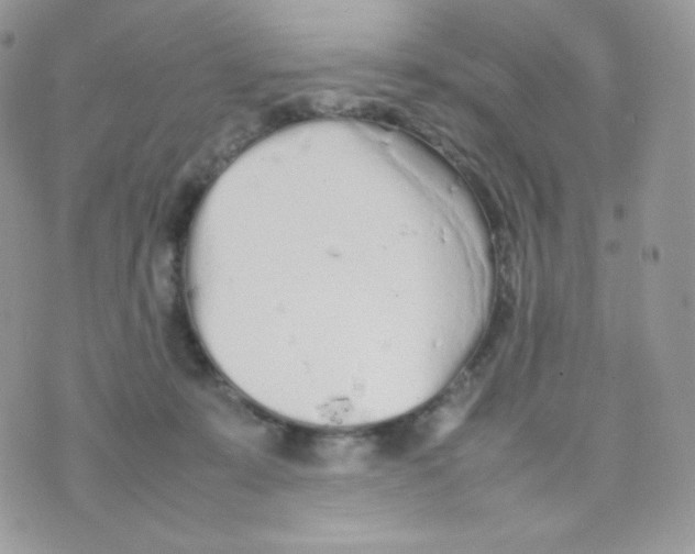 X0000074930319200609291804