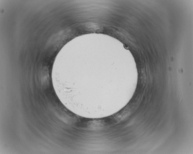 X0000074930320200609291804