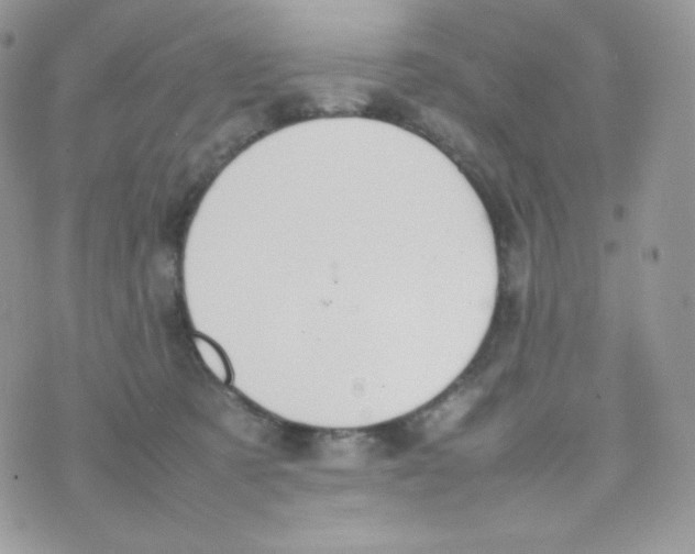 X0000074930321200609291804