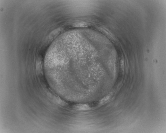 X0000074930322200609291803