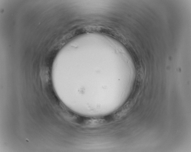 X0000074930323200609291803