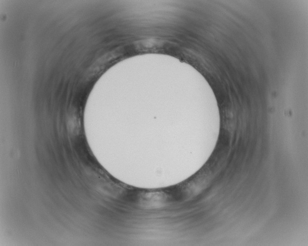 X0000074930324200609291803