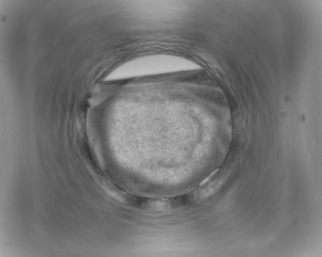 X0000074930325200609291803