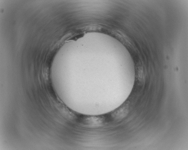 X0000074930326200609291803