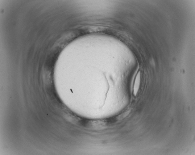 X0000074930327200609291803