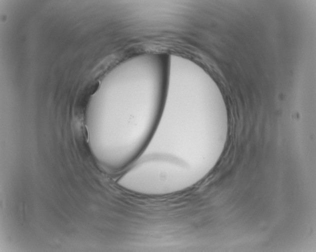 X0000074930329200609291803