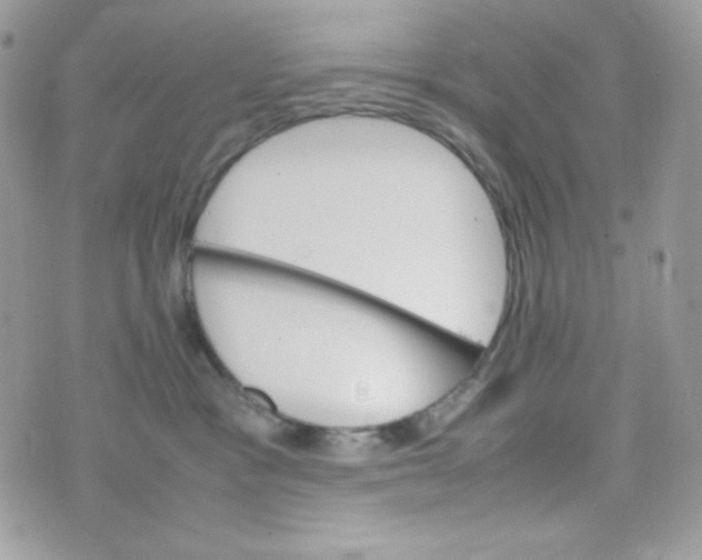 X0000074930333200609291803