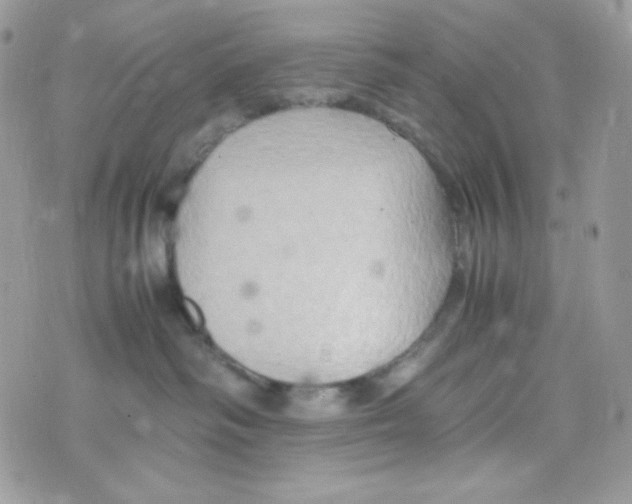 X0000074930334200609291803