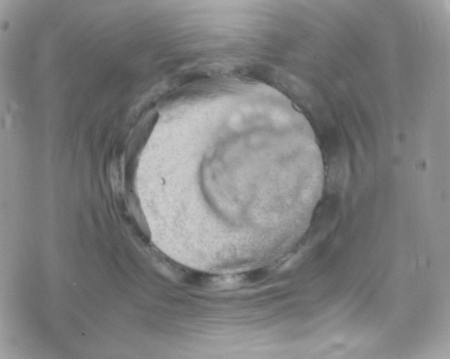 X0000074930335200609291803