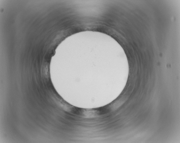 X0000074930336200609291803