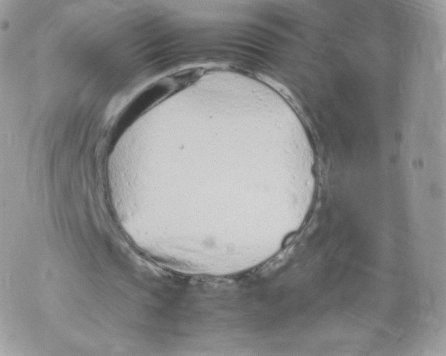 X0000074930337200609291802