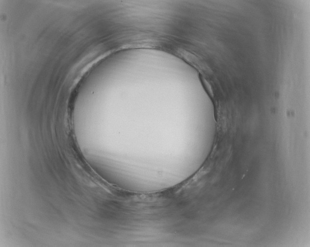 X0000074930338200609291803