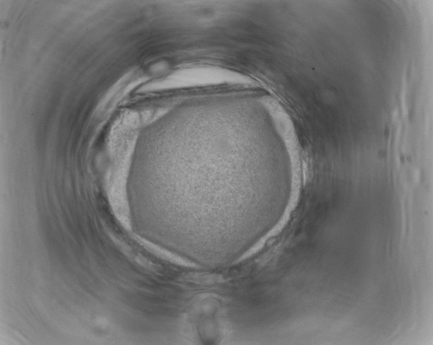 X0000074930339200609291803