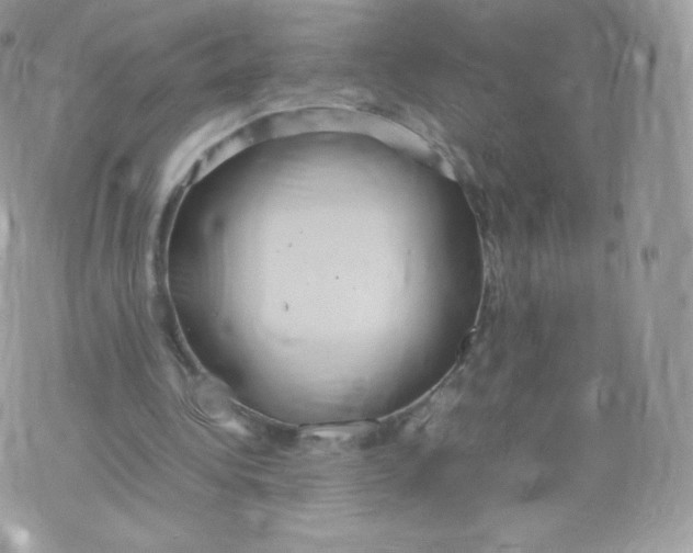 X0000074930340200609291803